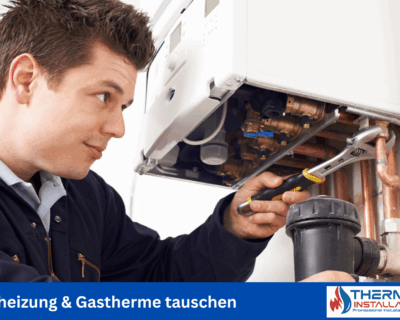 thermenwartung (1)